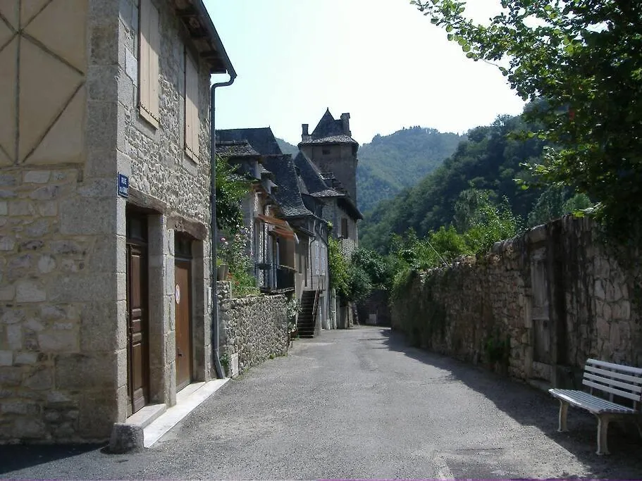 Vue Du Pont Apartamento Entraygues-sur-Truyère França