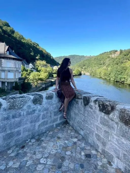 Vue Du Pont Apartamento Entraygues-sur-Truyère França