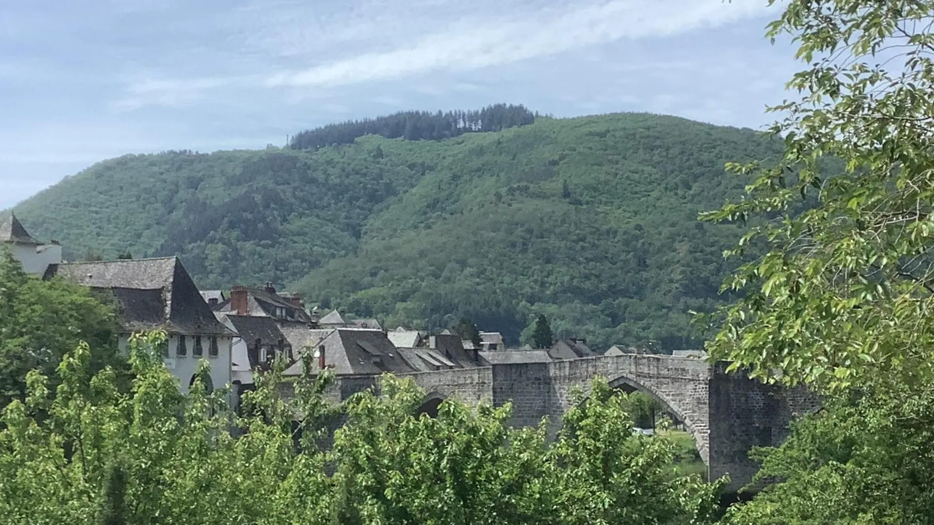 Vue Du Pont Apartamento Entraygues-sur-Truyère 0*,